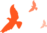 10.png 圖片