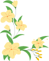 15.png 圖片
