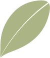 25.png 圖片