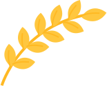 9.png 圖片