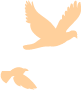 3.png 圖片