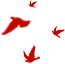 4.png 圖片